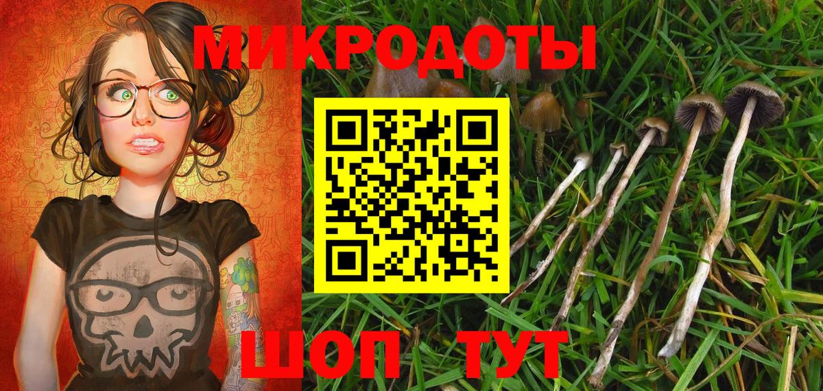 Карасук  Псилоцибиновые грибы Cubensis  Вход с VPN 